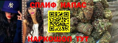 наркотики Камышлов