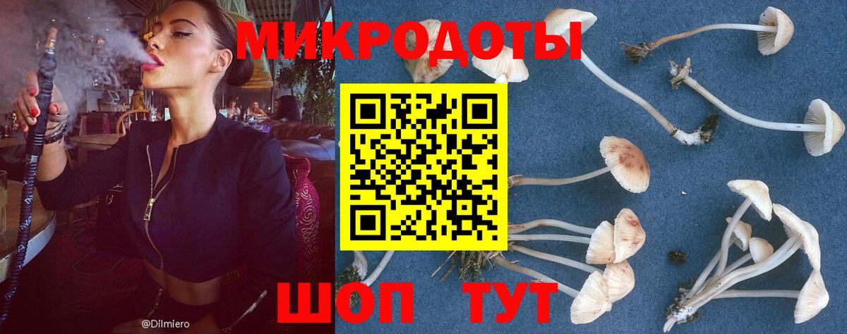 Галлюциногенные грибы Psilocybine cubensis  Вход с VPN  Малоярославец  Галлюциногенные грибы Magic Shrooms 